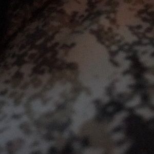 Meet your Posher, Elma